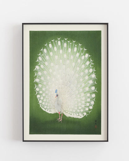 Ohara Koson Green Peacock poster