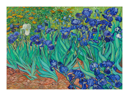 van gogh irises poster